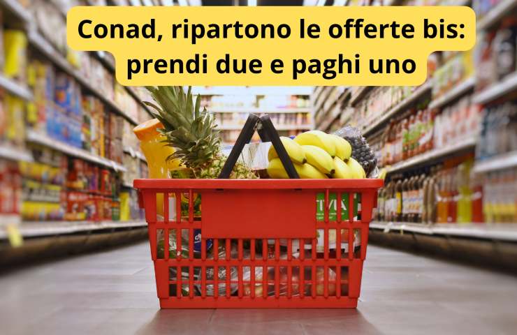 conad offerte bis