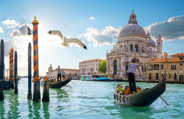 venezia assunzioni insegnanti